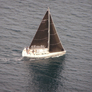 Balta jachta