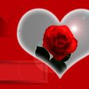 Rožės širdis
