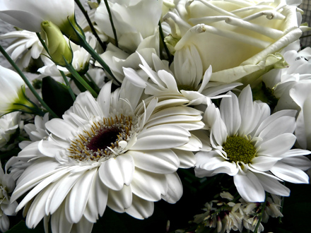 Baltų gėlių kompozicija