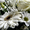 Baltų gėlių kompozicija